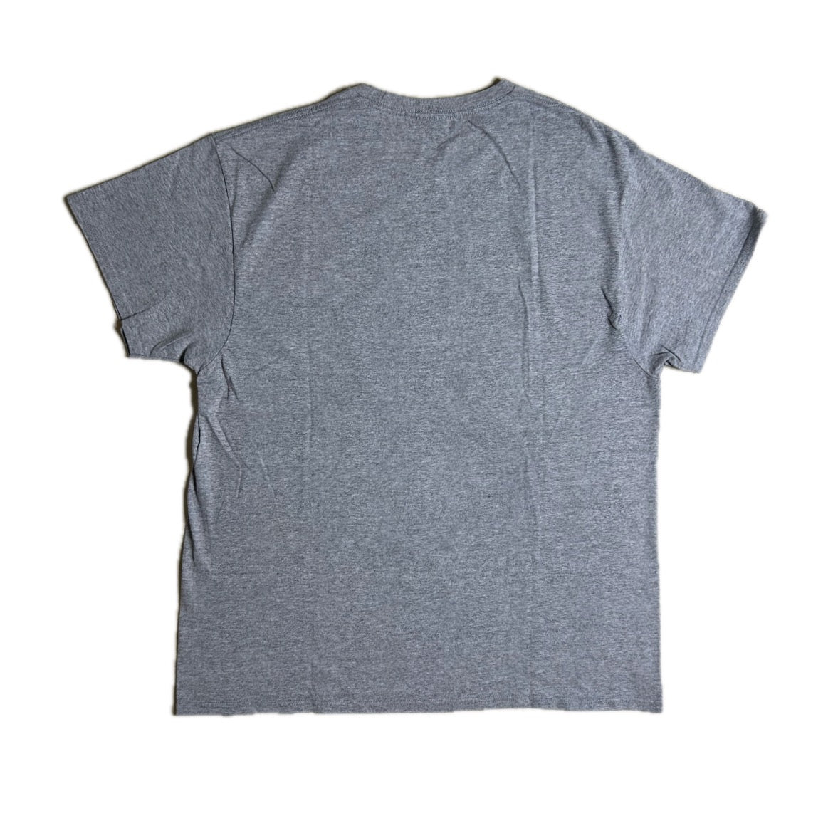 Vintage grey cotton Graphic T-Shirt with Looney Tunes Print 